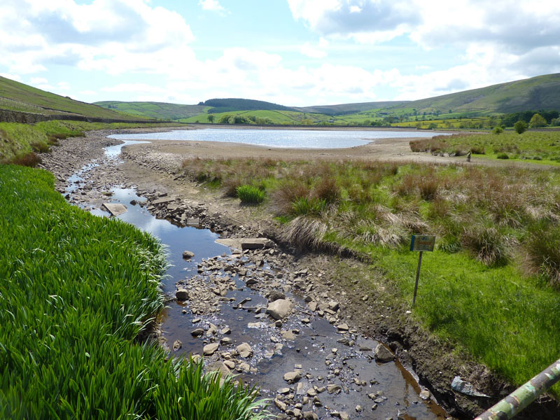 Lower Black Moss Reservoir